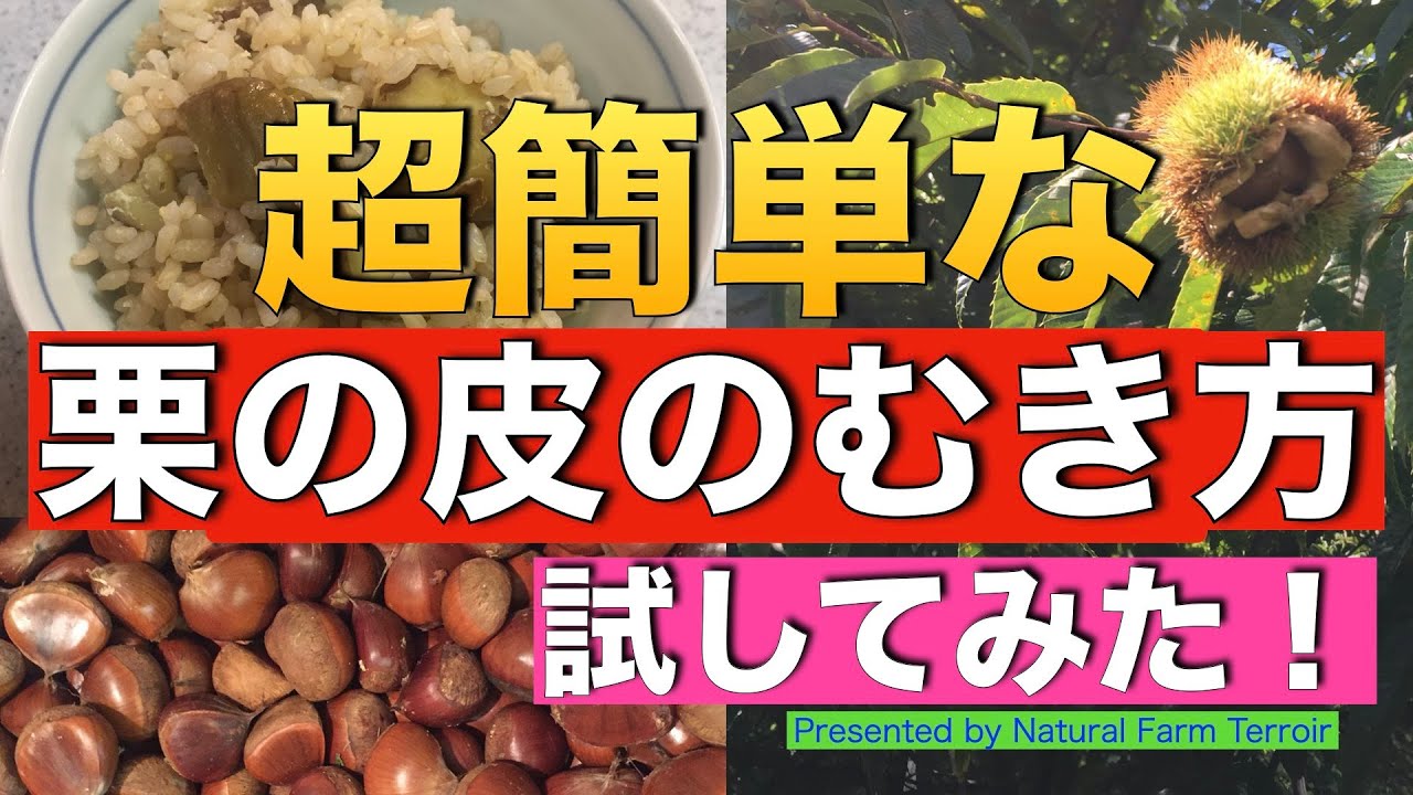 栗のイガ の取り方 Youtube