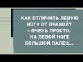 Как отличить левую ногу от правой? Сборник Свежих Анекдотов! Юмор!