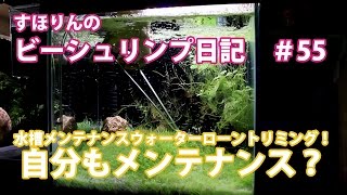 ウォーターローンのトリミング 水の中の芝生 水草メンテナンス Youtube