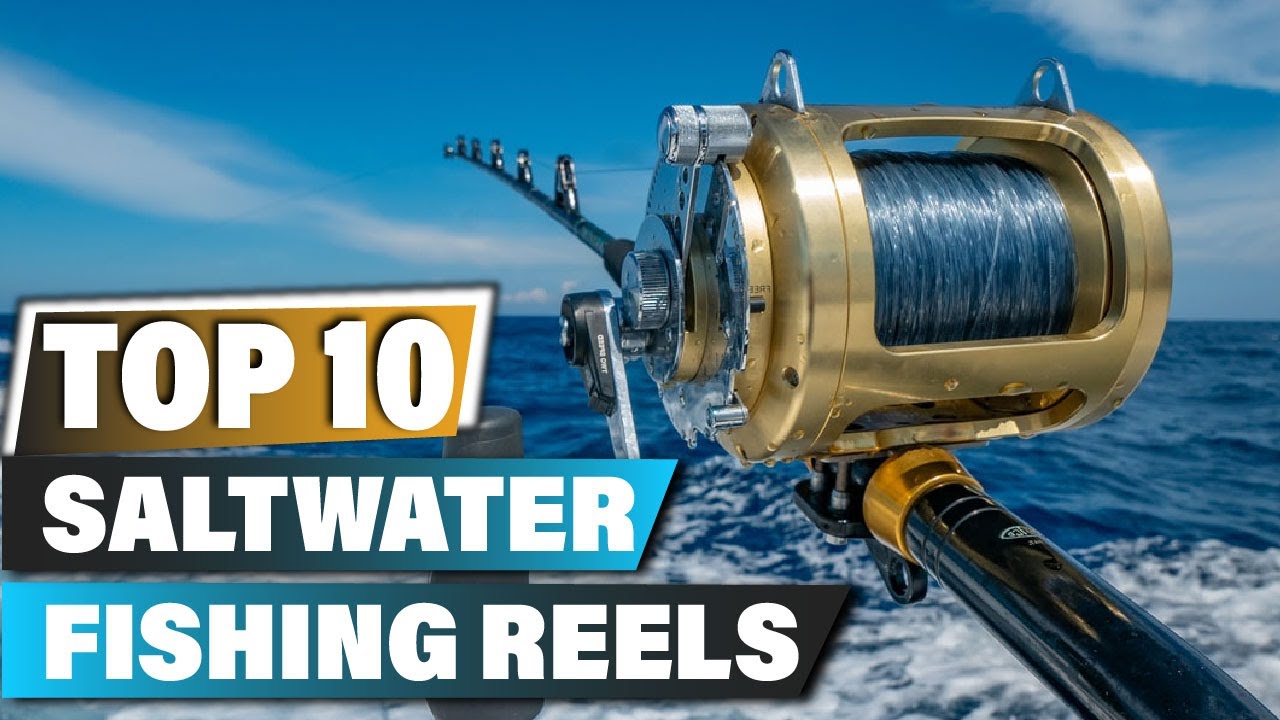 Best Saltwater Fishing Reels In 2023 - Top 10 Saltwater Fishing