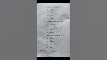 Bsc. Botany Minor 2025 question paper (MIC: 4-morphology and anatomy)