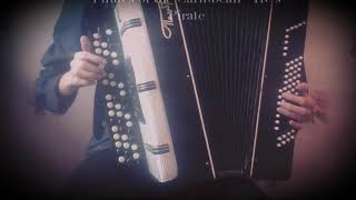 Пираты Карибского моря на баяне (Pirates of the Caribbean on accordion)