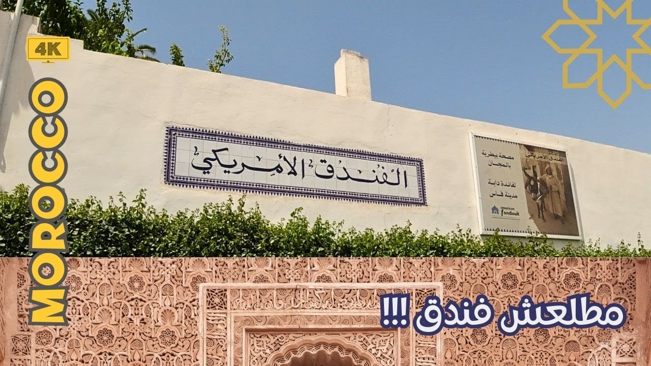 A living example of animal welfare in the city of Fez | Long live Morocco | VIVA MOROCCO