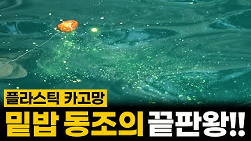 던지는 곳이 포인트가 되는 낚시 | 벵에돔 카고낚시 [박과장TV]