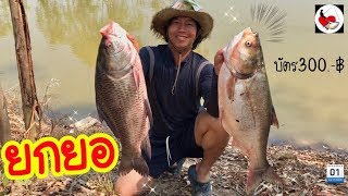 ยกยอ สระแสนสุข ►Fishing lifestyle Ep.249