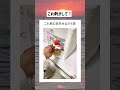 これ剥がせよ！ #おすすめ#おもしろ