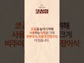 코 수술하면 돼지코 할 수 있다 vs 없다?! 🐷