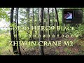 [4K] GoPro HERO9 Black и ZHIYUN CRANE M2 Прогулка по лесу