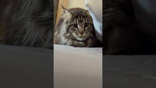 IMG 2369