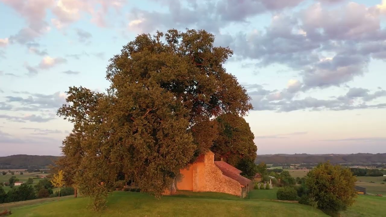 Chêne de Theux #gers #occitanie#gascogne