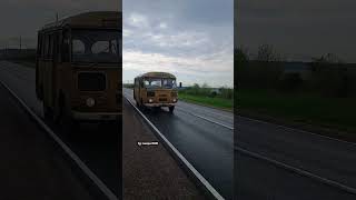 TG: nexpertGM Пазик с японским сердцем встал на маршрут #shorts #независимыйэксперт #георгиймедведев