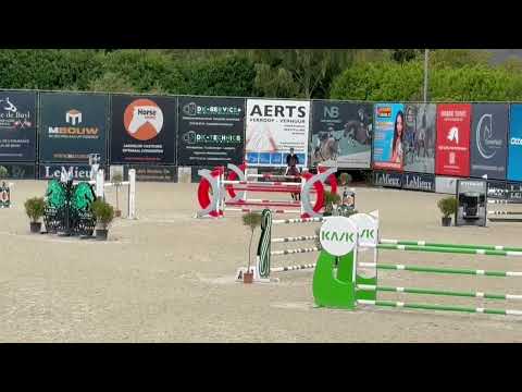 Rosa KC 7/8 yo CSIYH Bonheiden