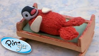 Pingu is Jealous of Pinga! | Pingu Official | Cartoons for Kids