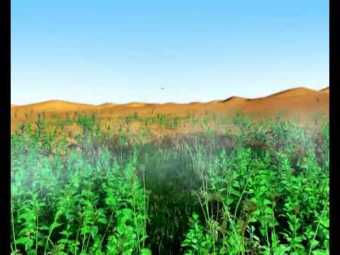 LA Menthol - Oasis