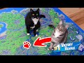 CATS PICK MY DROP SPOT IN FORTNITE!