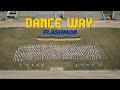 DanceWay_ Flashmob