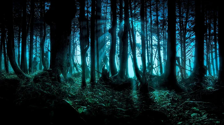 Dark Forest/Goa/Twili...  Psy Trance Mix - 2013 - ...