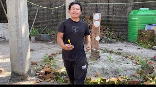 Dart Balloon Bursting Game😁 | Dipesh Twenty4