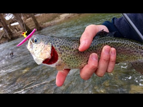 Trout Fishing with Pink Worms?