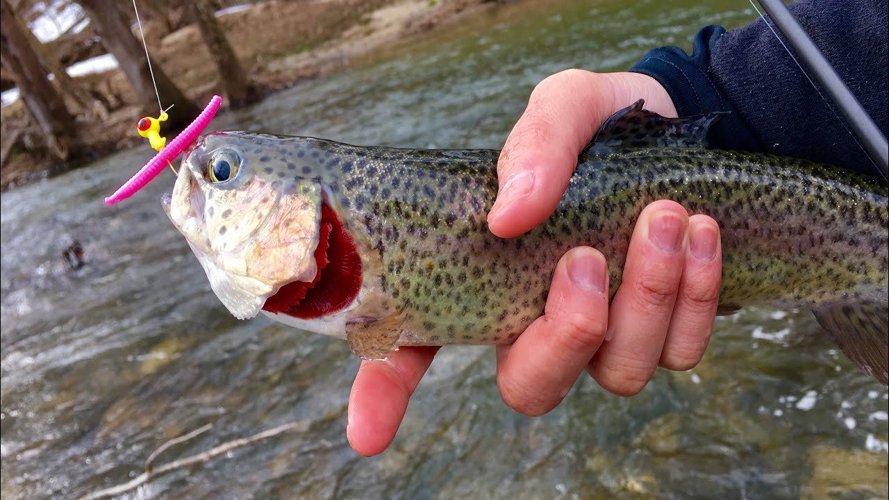 Trout Fishing with Pink Worms? 