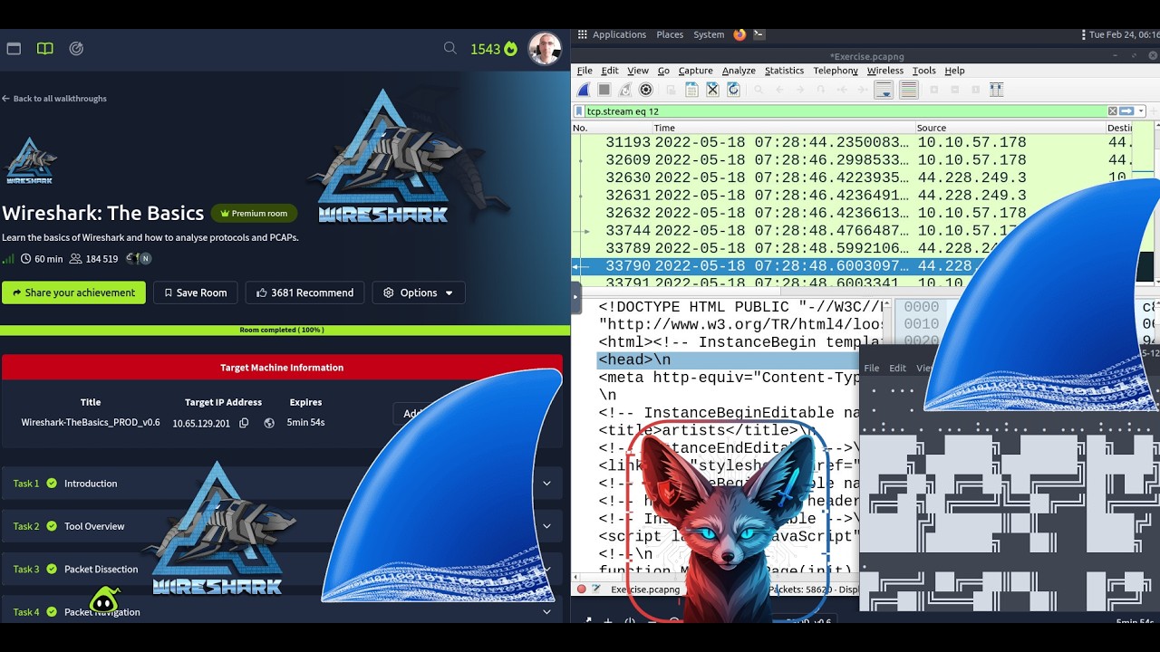 TryHackMe Wireshark: The Basics  | Full Walkthrough 2026