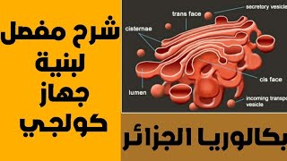 جهاز كولجي | احياء السادس العلمي