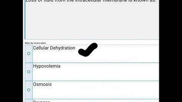 Psy610/Psyp610 final exam 2023 solved Mcqs |Quiz 3 & 4| BS psychology|fall2022| Virtual University|