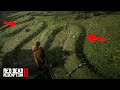 RDR2 Serpent Mound | Mysterious Snake Hill