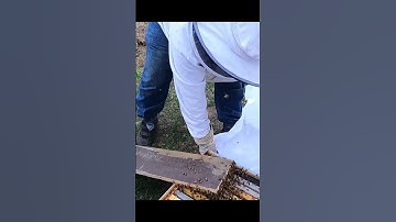 Taranov Split Method