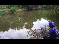 Mantap mancing di sungai kalimantan yg masih alami