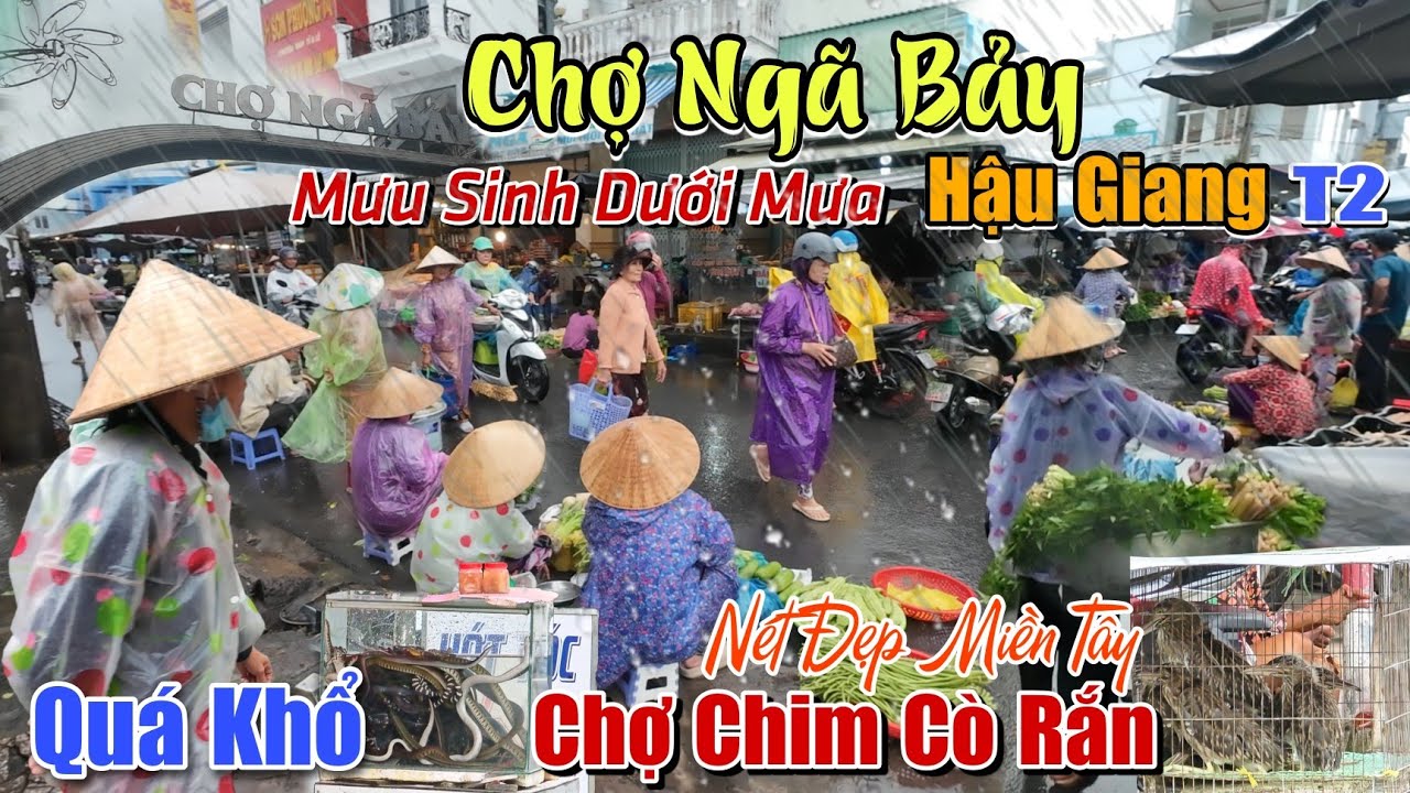 Khắc Nghiệt Cảnh Mưu Sinh Trong Mưa Bão Bà Con Chợ Ngã Bảy Phụng Hiệp Hậu Giang: Chợ Chim Cò Rắn