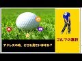 【ゴルフの裏ワザ】アドレスの時、どこを見ていますか？ ✅　😎😊👍まとめがあります下記クリック❕