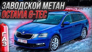 Skoda Octavia A7 G-Tec на заводском метане. Авто из Европы. Псков.