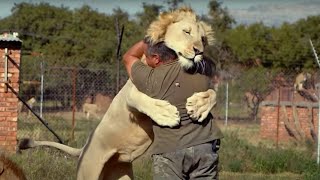 Animales Reunidos Con Su Dueño Después De Años by Razón DETRÁS 6,197 views 1 year ago 8 minutes, 47 seconds