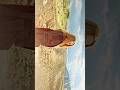Beauty Of “Avengers Infinity War” - #quality #shorts #edit #shortvideo