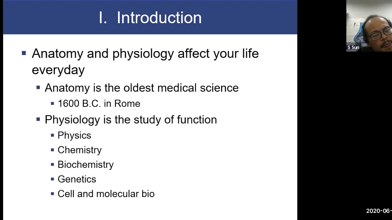 1 Homeostasis Human Physiology - YouTube