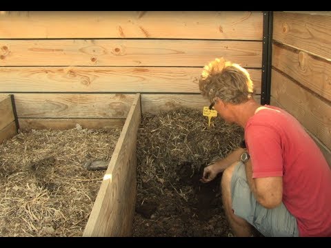 Vidéo: Tas De Compost : Comment Accélérer La Maturation ? Comment Le Faire Soi-même ? Schéma Et Options De Fabrication, Dispositif De Tas. Puis-je Mettre Des Pommes ?