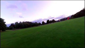 TBS Vendetta crash stuck on a tree