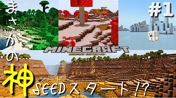 تحميل マイクラ Ps4 シード تحميل マイクラ Ps4 シード