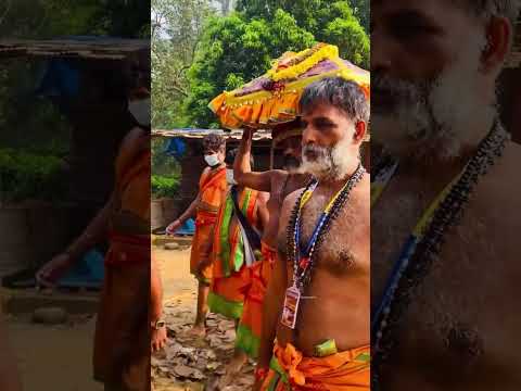 Thiruvabaranam returns to Pandalam #sabarimala #trending #viral #foryou #sabarimalaayyappan