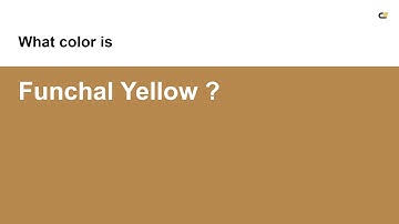 Funchal Yellow color #b6884d hex color - Yellow color - Cool color b6884d