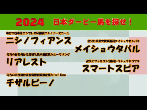 2024年日本ダービー馬を探せ！ #36　ニシノフィアンス、リアレスト、チザルピーノ、メイショウタバル、スマートスピアを注目馬として取り上げました。