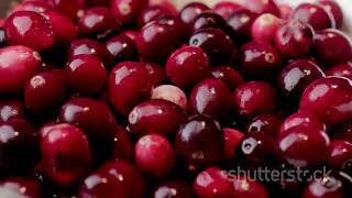 Top 10 Ways to Plant Cranberries