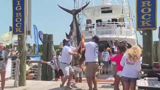 Michael Jordan catches huge marlin. June 2020