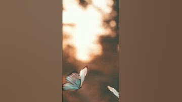 #بلغوا_عني_ولو_آية #اسلامية #آيات #تيك_توك #tiktok #quran #جمعة_مباركة
