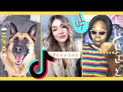 Best Tik Tok