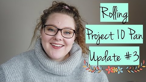 Project 10 Pan | Update #3