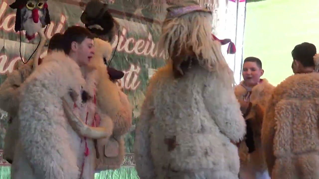 2023-2024 capra batrana -tanara Raucesti