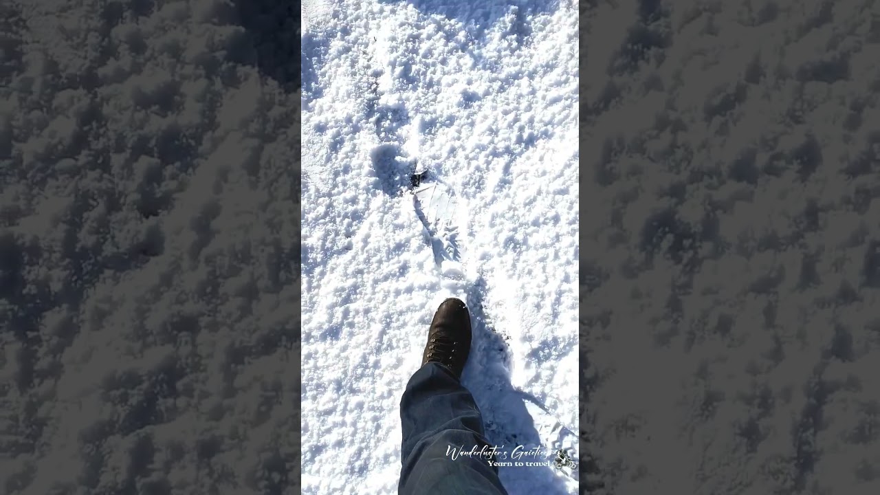 High on 'Snow' 🌨️☃️❄️🌬️