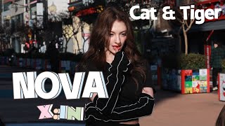 231111 노바NOVA 직캠FANCAM 'Cat&Tiger'